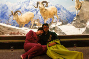 adultovernight-308-2