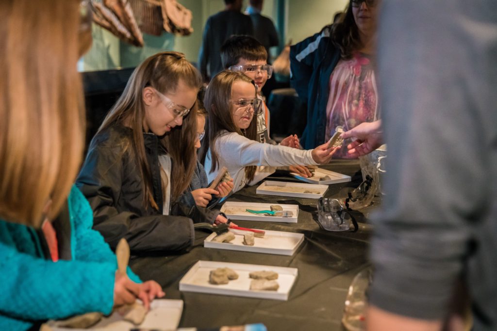 Surface cleaning fossils