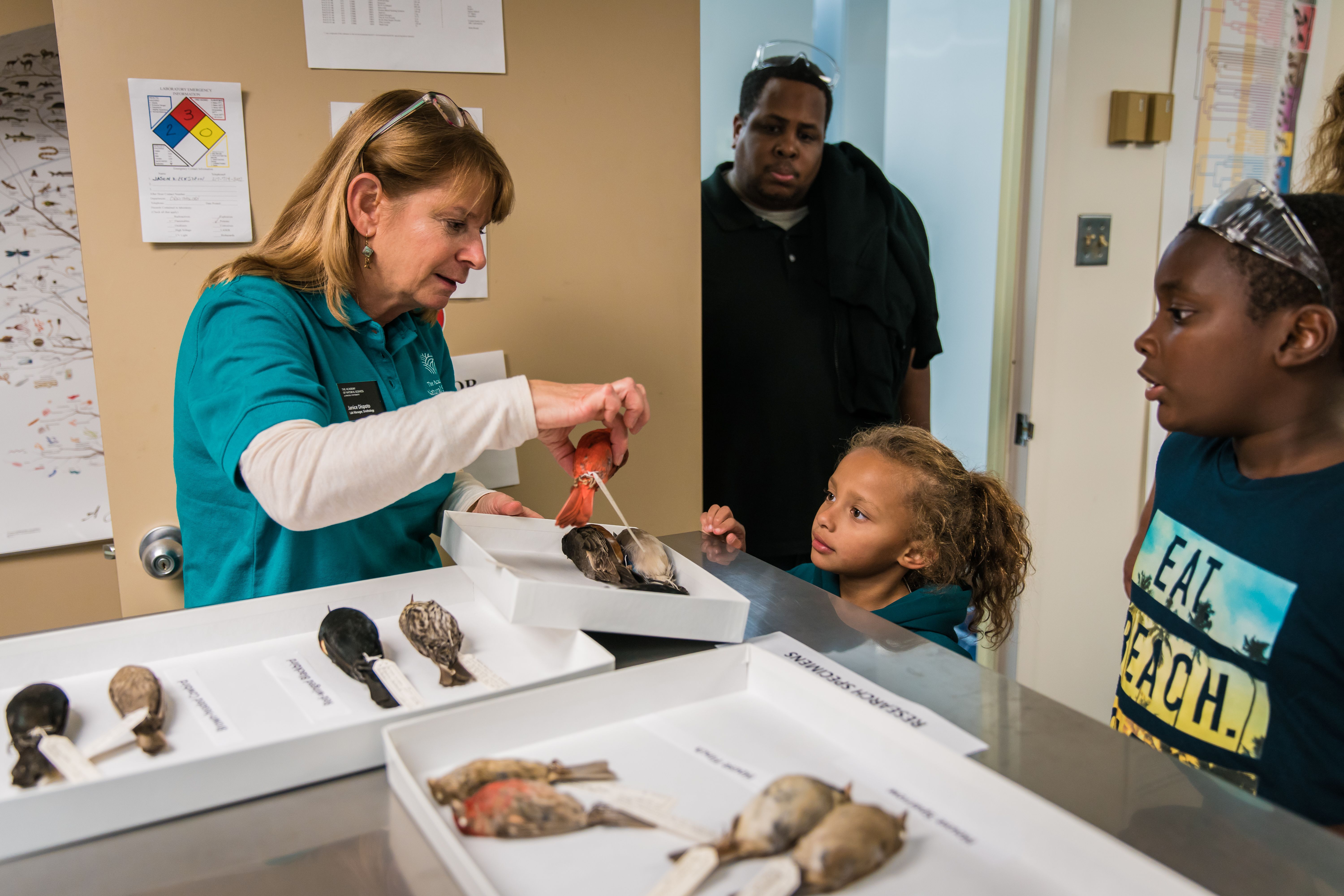 Kids learning how to I.D. bird specimens