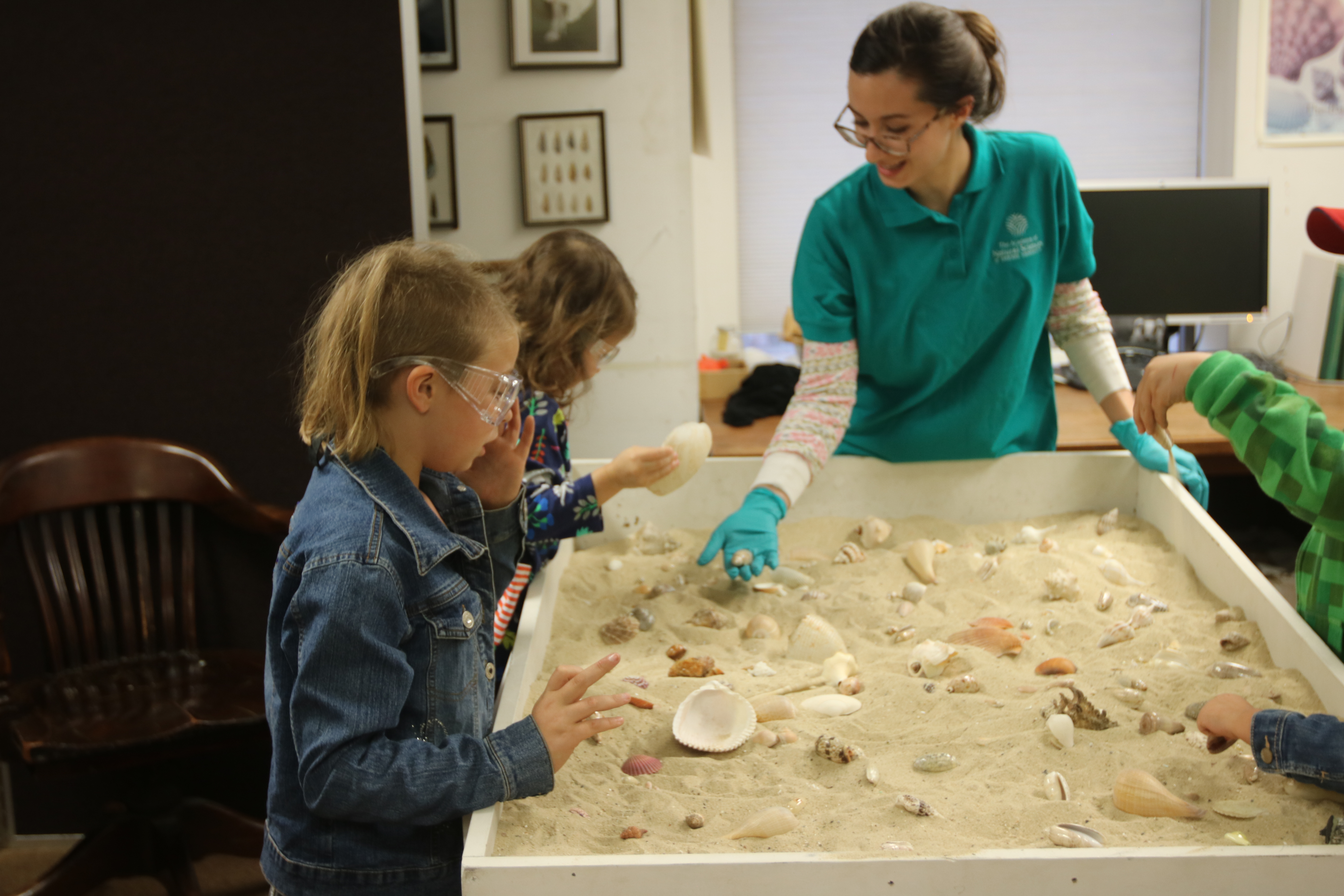 Digging up shells in our sandbox