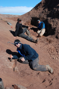 Tiktaalik field site