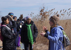 WINS girls on a field trip to a Delaware marsh.