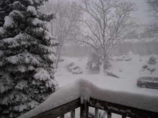 Snowy Day