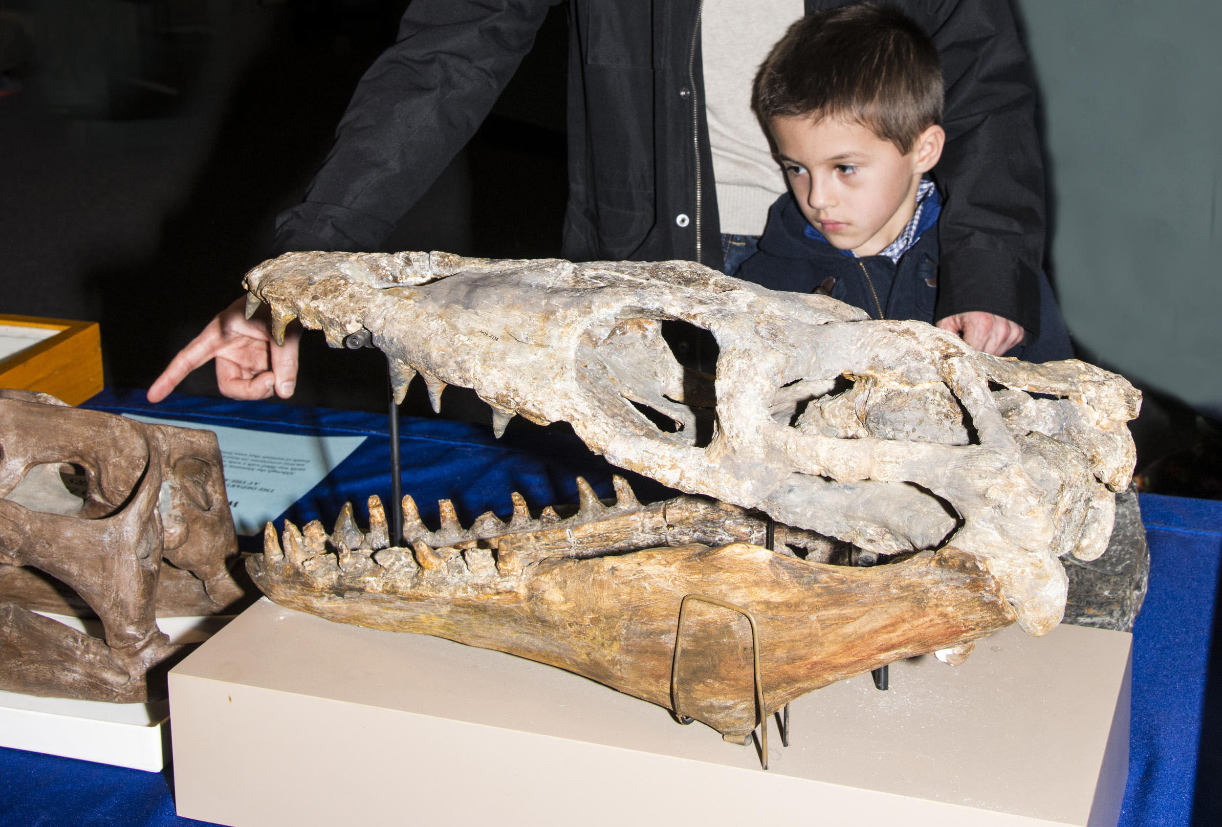 boy with skull