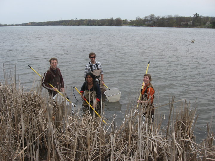 Four researchers from the Academy of Natural Sciences near the edge of a river on a gray day, reeds in front of them.