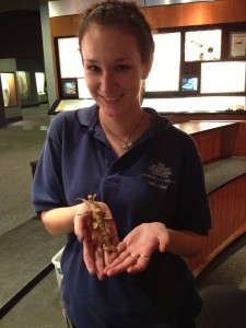 Danielle Farkas introduces visitors to live insects.