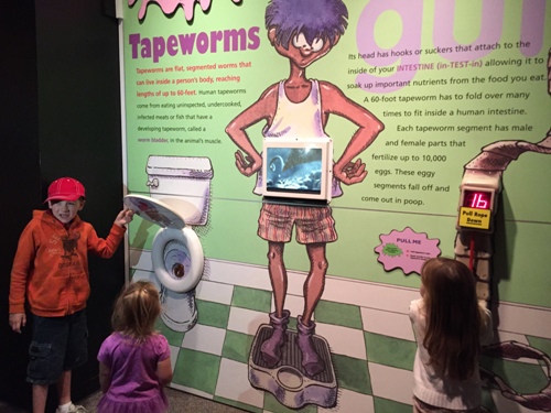 Tapeworm Tug
