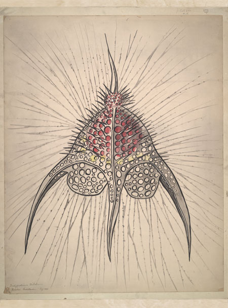 Archival Illustration