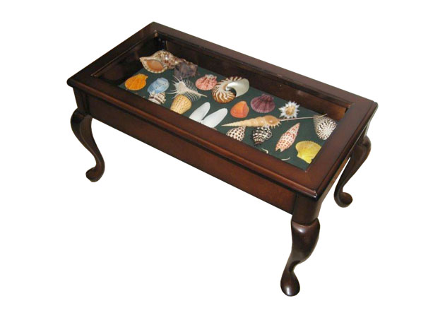 This fine glass-topped side table reflects the Victorian collector’s tradition of displaying rare and unusual shells. Donated by Sue Hobbs of Cape May, N.J., it will be raffled off to benefit the Shell Club.