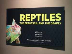 Academy-Reptiles-Exhibit