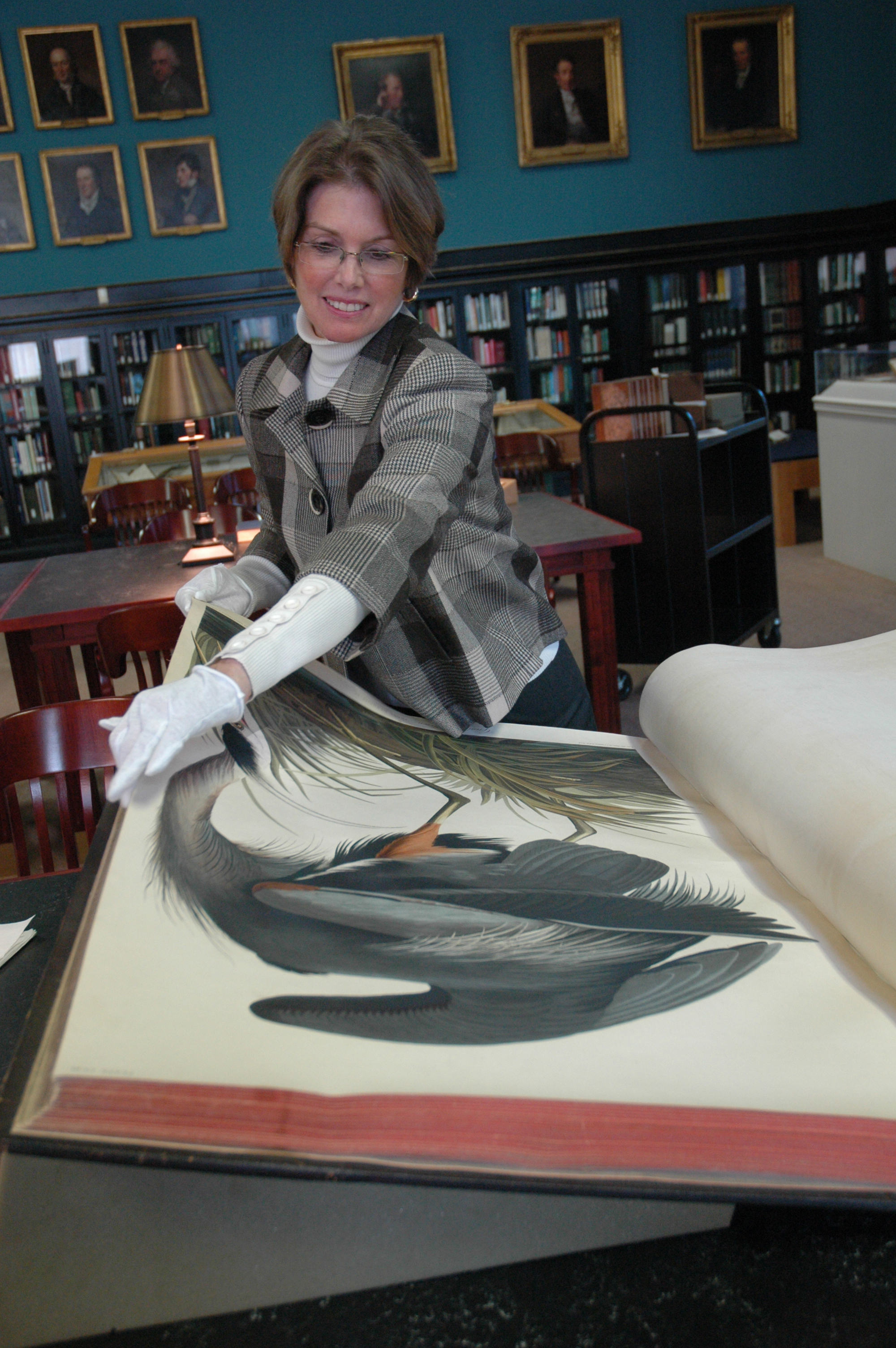 Every weekday at 3:15 p.m., museum visitors are invited to hear a short talk and observe the turning of a page of Audubon's Birds of North America elephant folio.