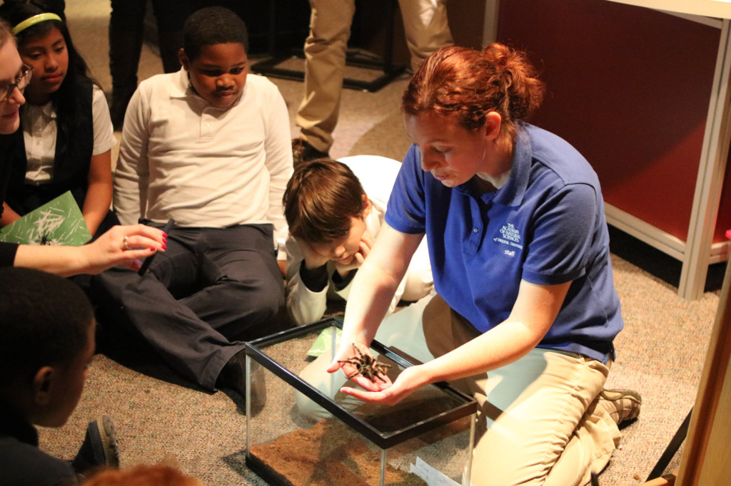 Insect specialist Karen Verderame holds a live one for students from Russell Byers Charter School. Photo by Mike Servedio/ANS