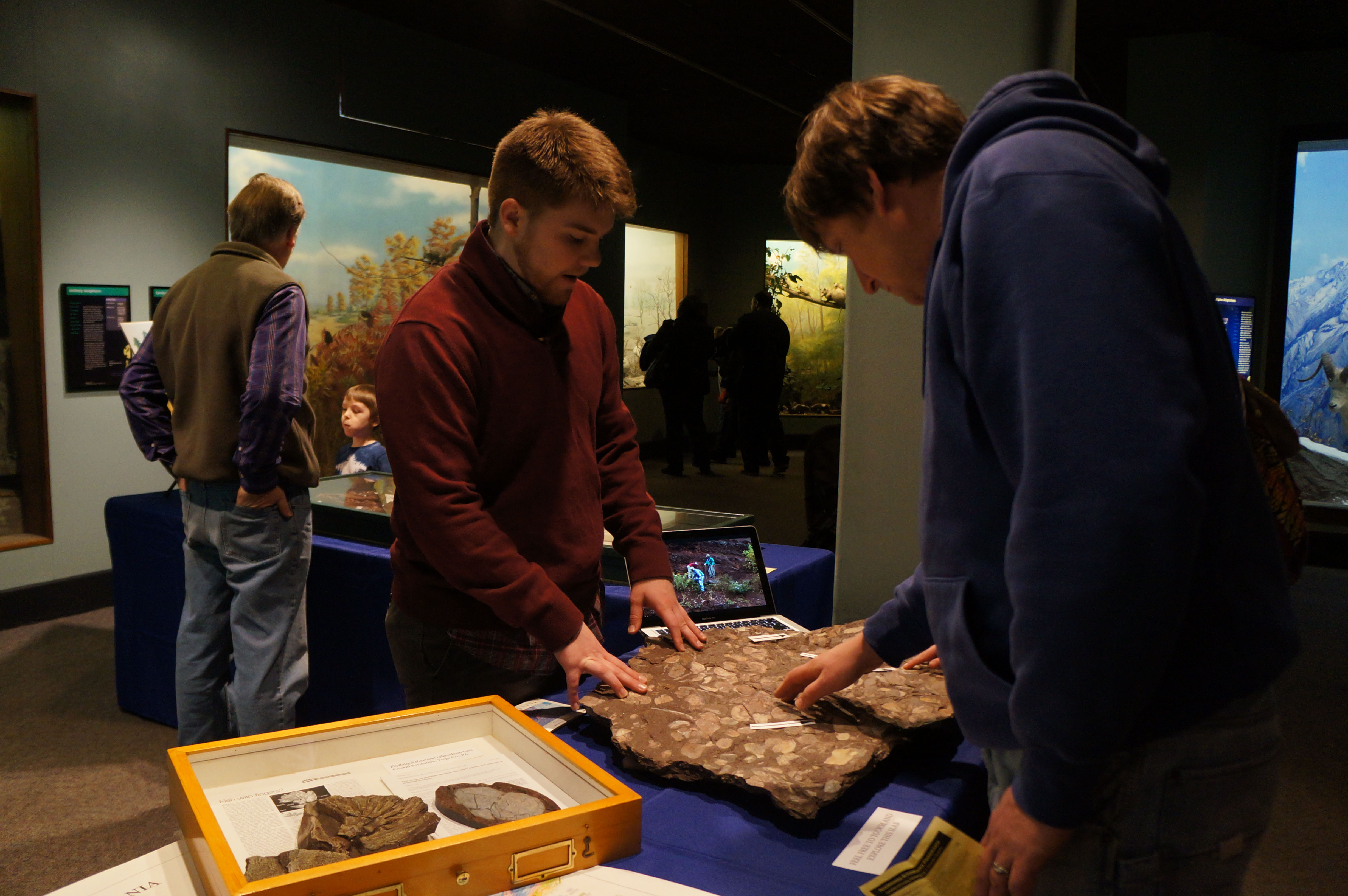 Touching fossils from creatures that lived millions of years ago.