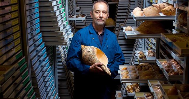 Paul Callomon, Malacology Collection Manager