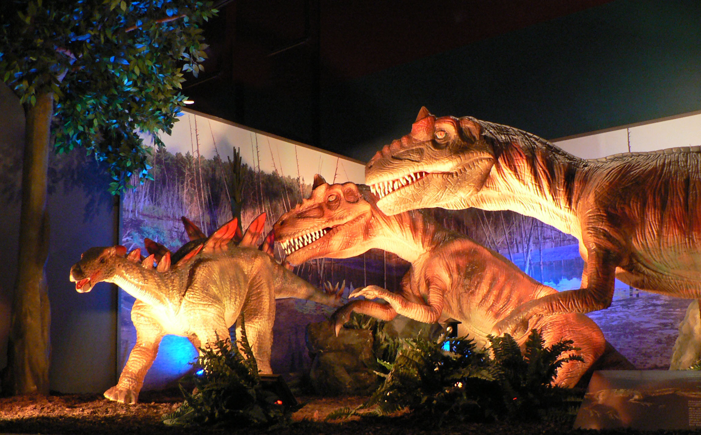 Dinosaurs in exhibit