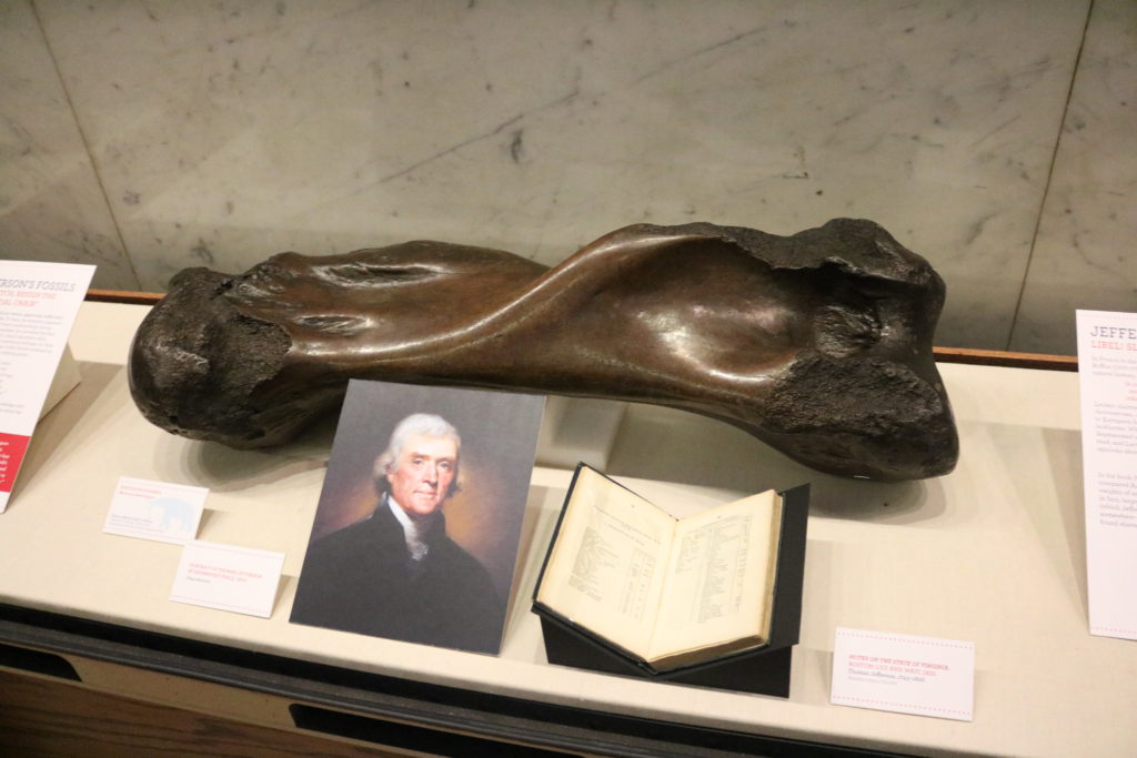 Thomas Jefferson's fossils are some of the many items on display at the exhibit. | Image Credit: Mike Servedio/ANS