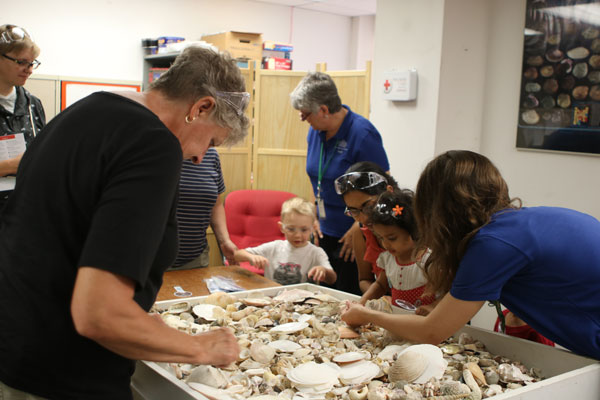 Shell hunt in lab