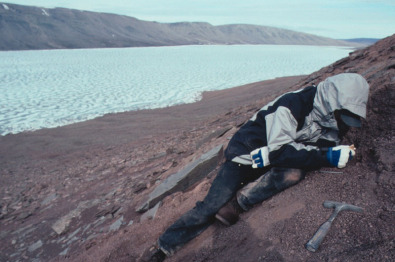 A paleontologist digging during one of Daeschler’s previous Arctic trips in Nunavut in Canada.