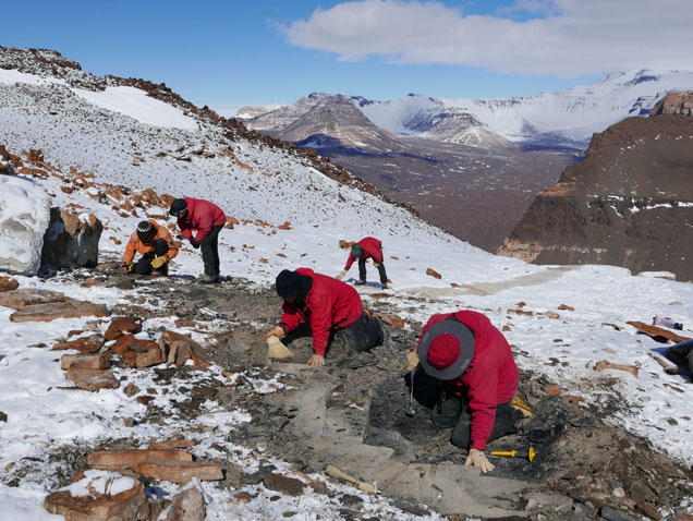 Academy paleontologist Ted Daeschler traveled to Antarctica to find Middle Devonian fossils for the Academy of Natural Sciences. 