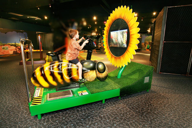 Ride the bee bike in the outdoor exhibit at the Academy 