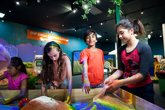 Dig in dirt in the backyard exhibit at the Academy