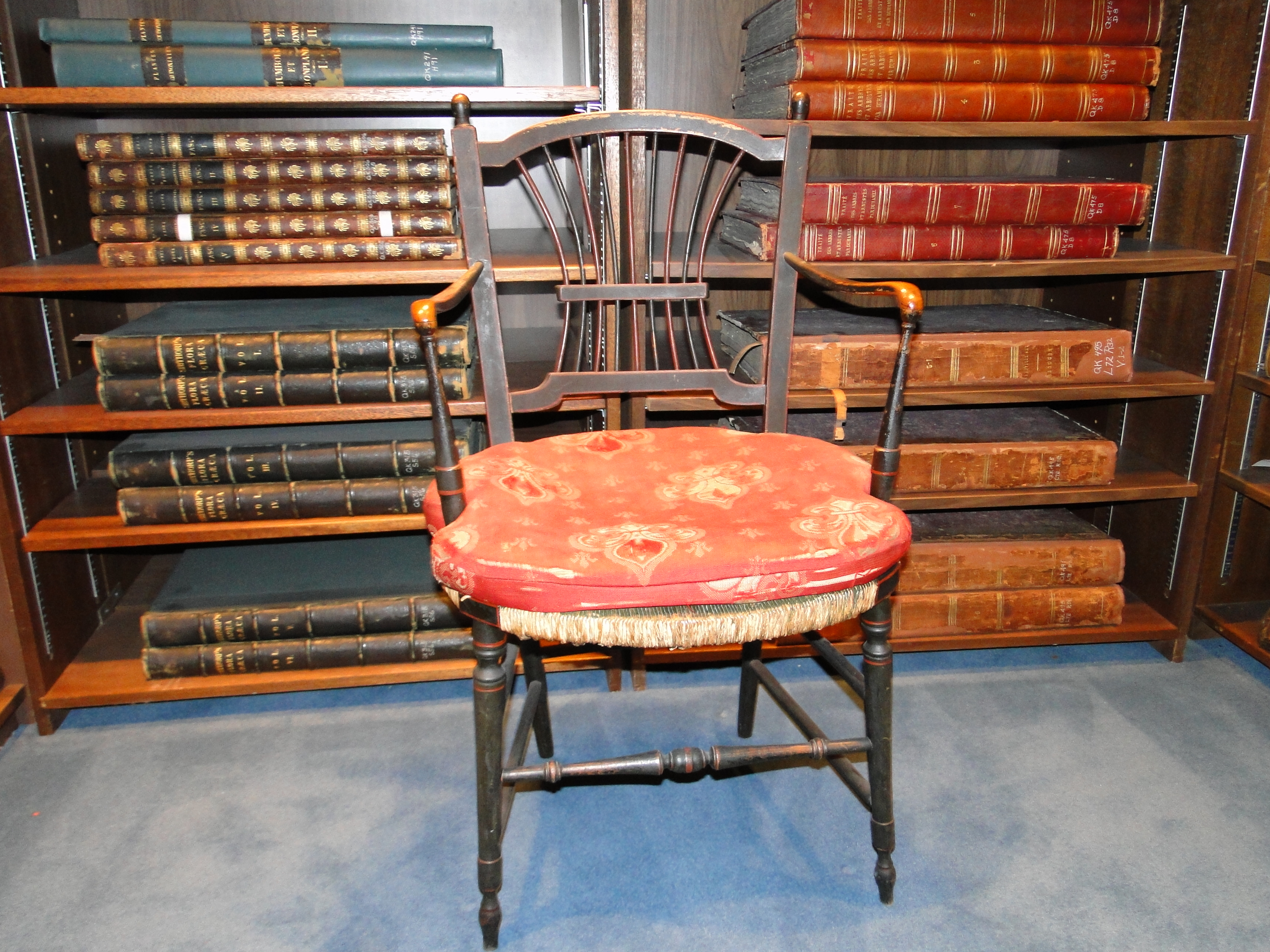 Darwin's Chair