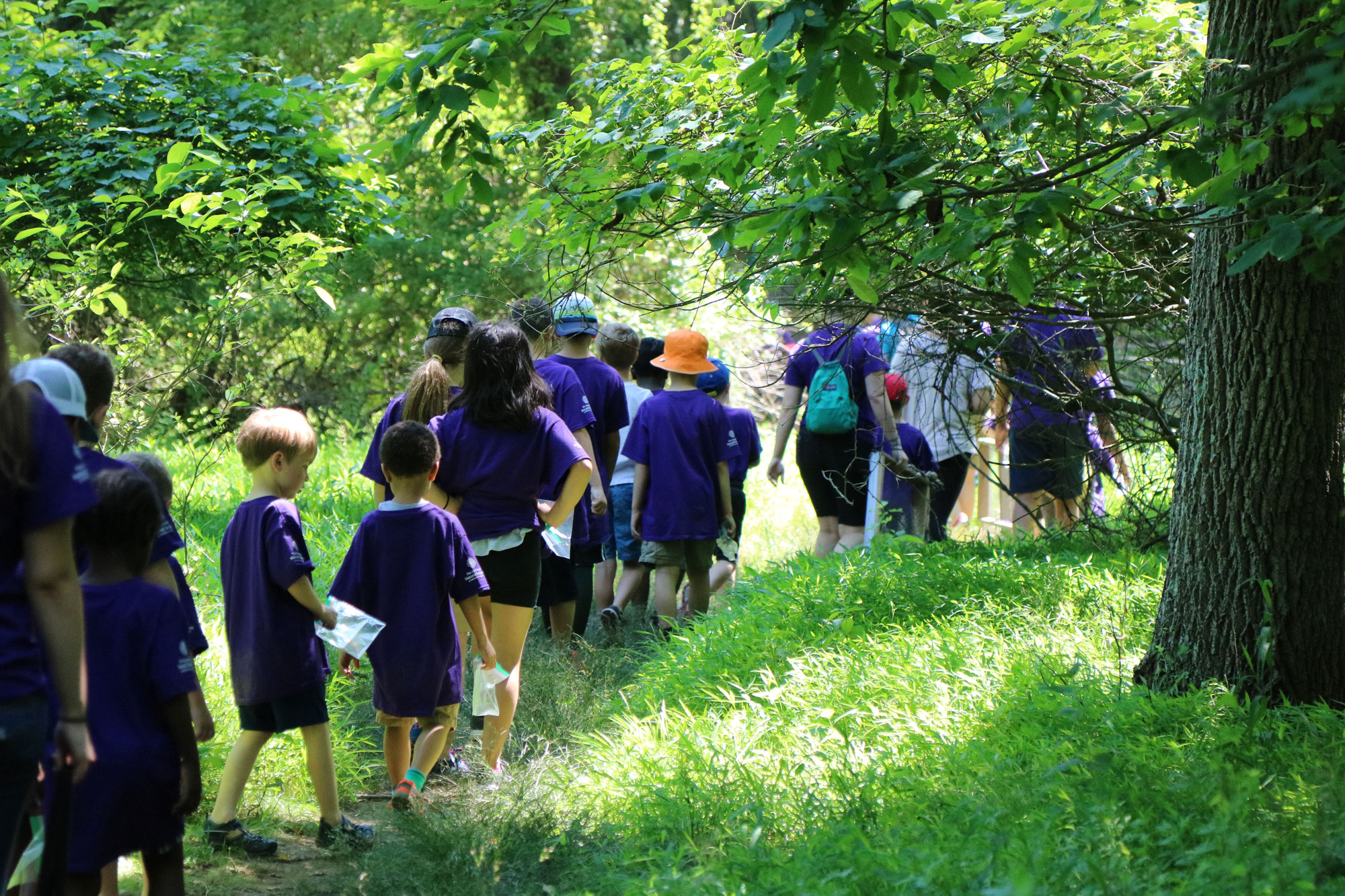 Academy Science Campers hike through the woods