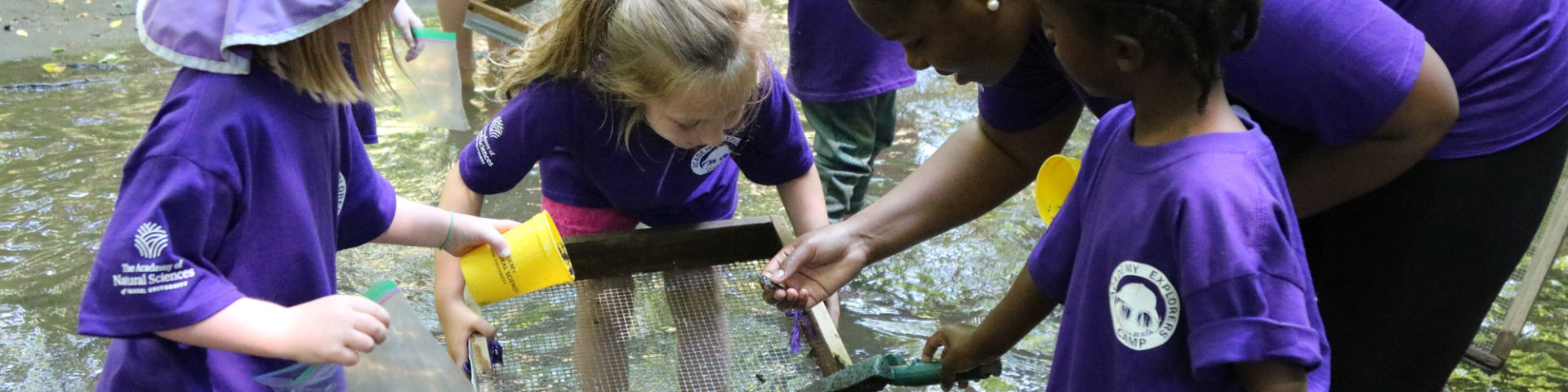 Academy of Natural Sciences summer campers search for fossils in a stream.