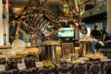 Desserts under dinosaur skeleton