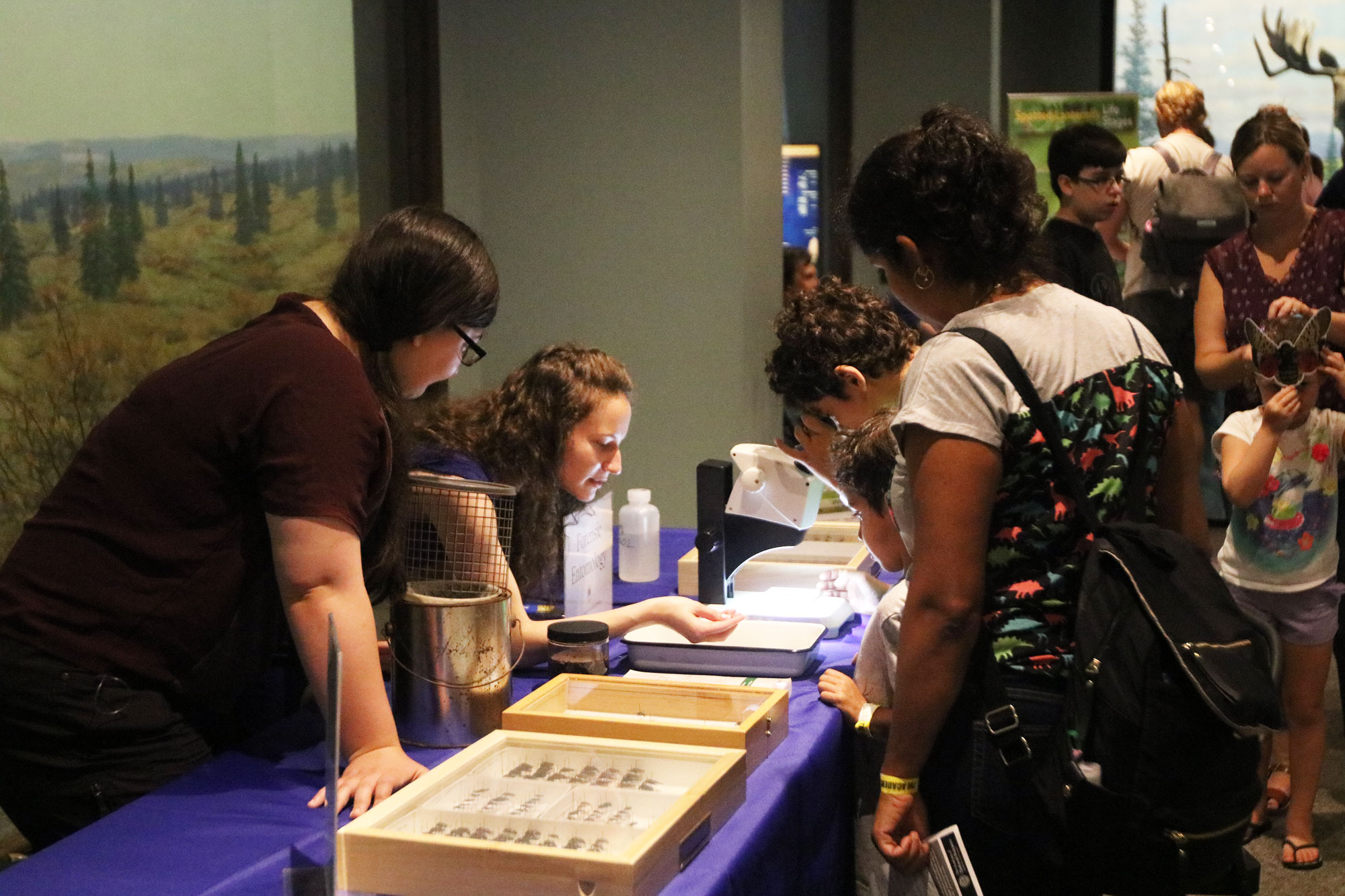 Jackie Garcia teaches visitors about forensic entomology at Bug Fest at the Academy of Natural Sciences