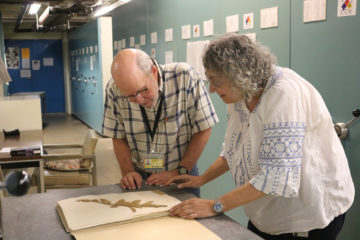 botanists examine herbarium specimen