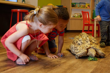 Field trips to the Academy of Natural Sciences may involve seeing a tortoise up close, like these two elementary school children.