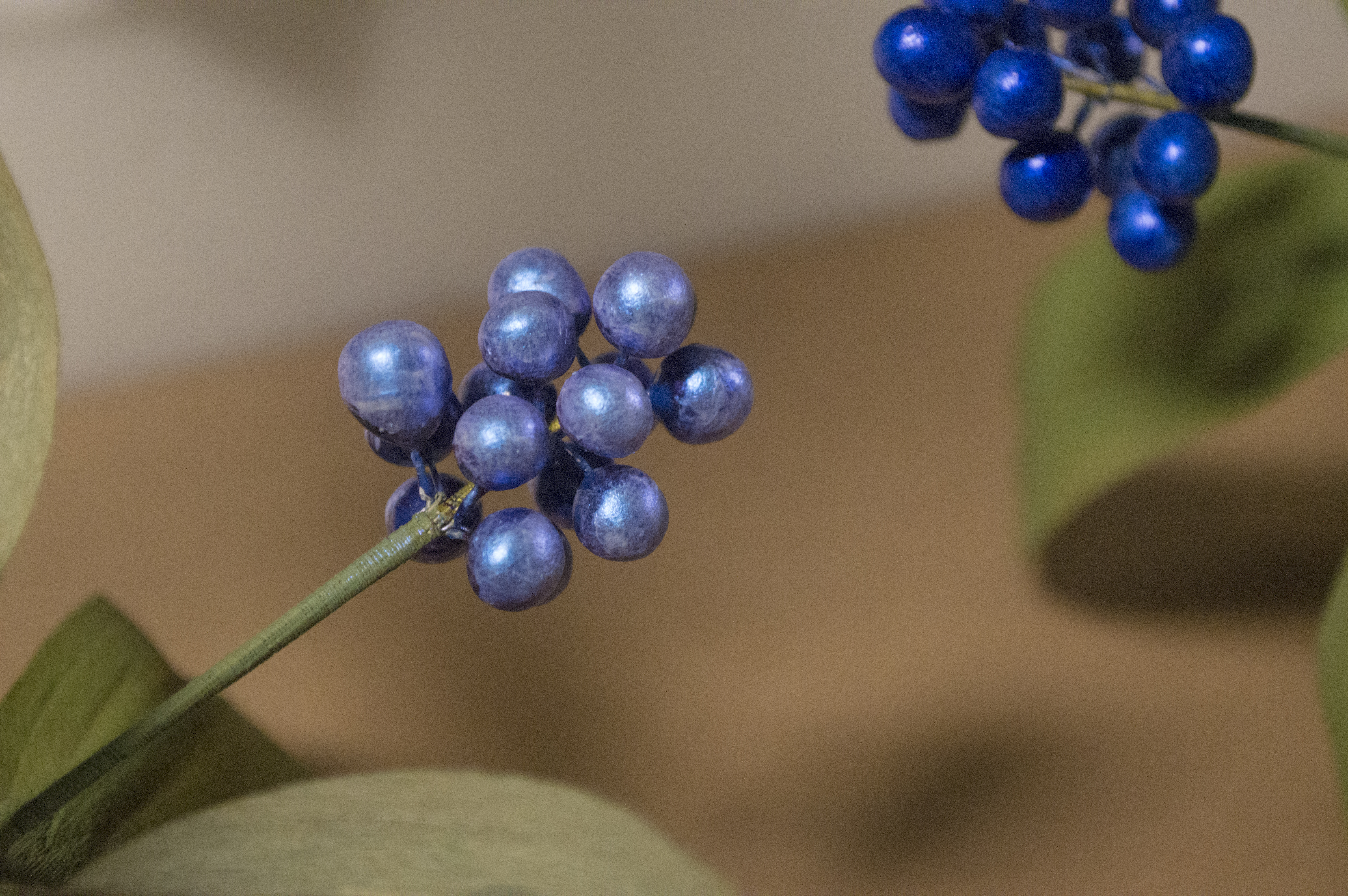 Tiny blue marble berries, before and after