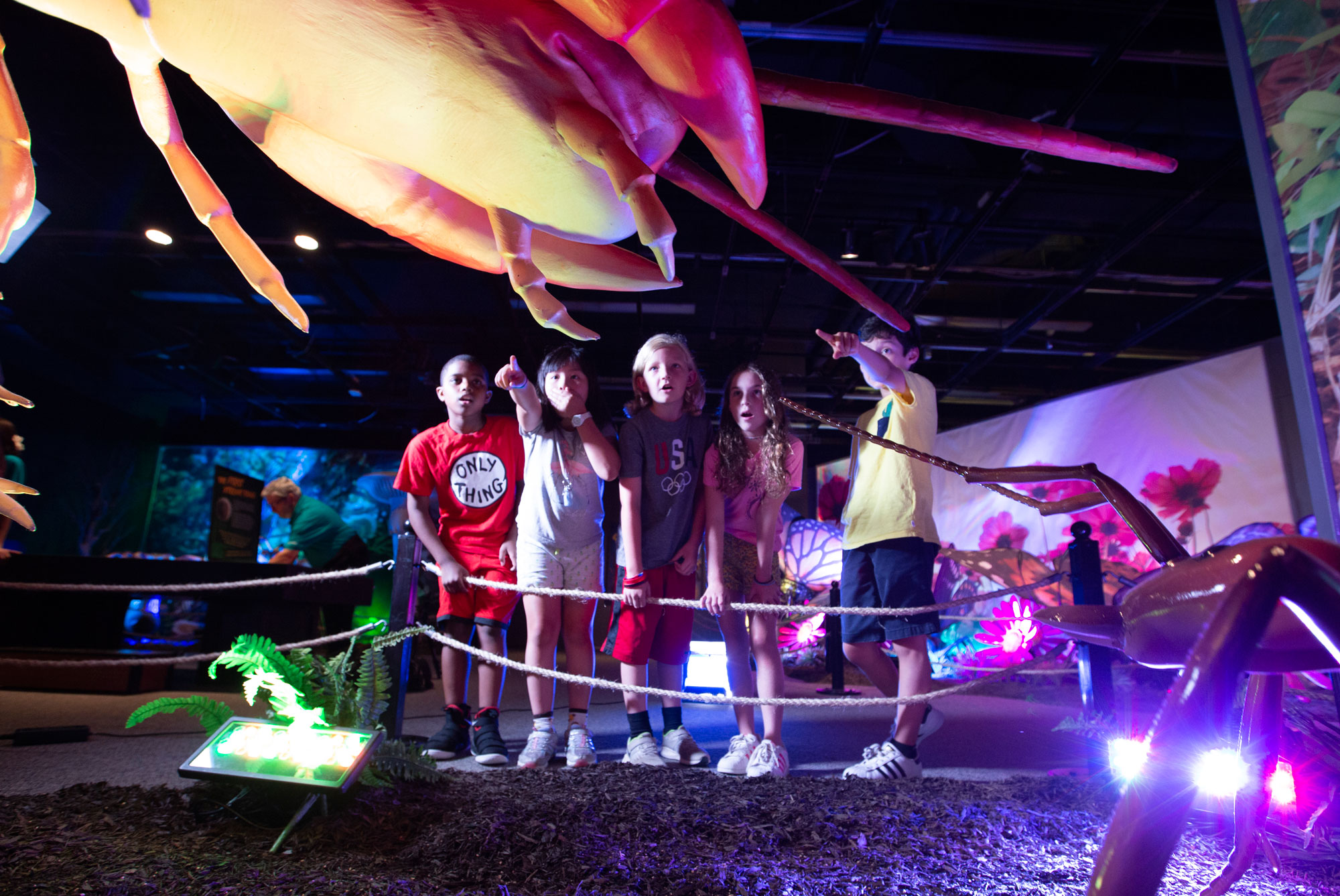 Children explore Xtreme Bugs at the Academy of Natural Sciences