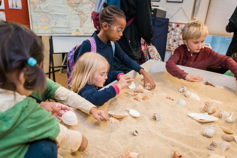 Children play in a sandbox looking for seashells
