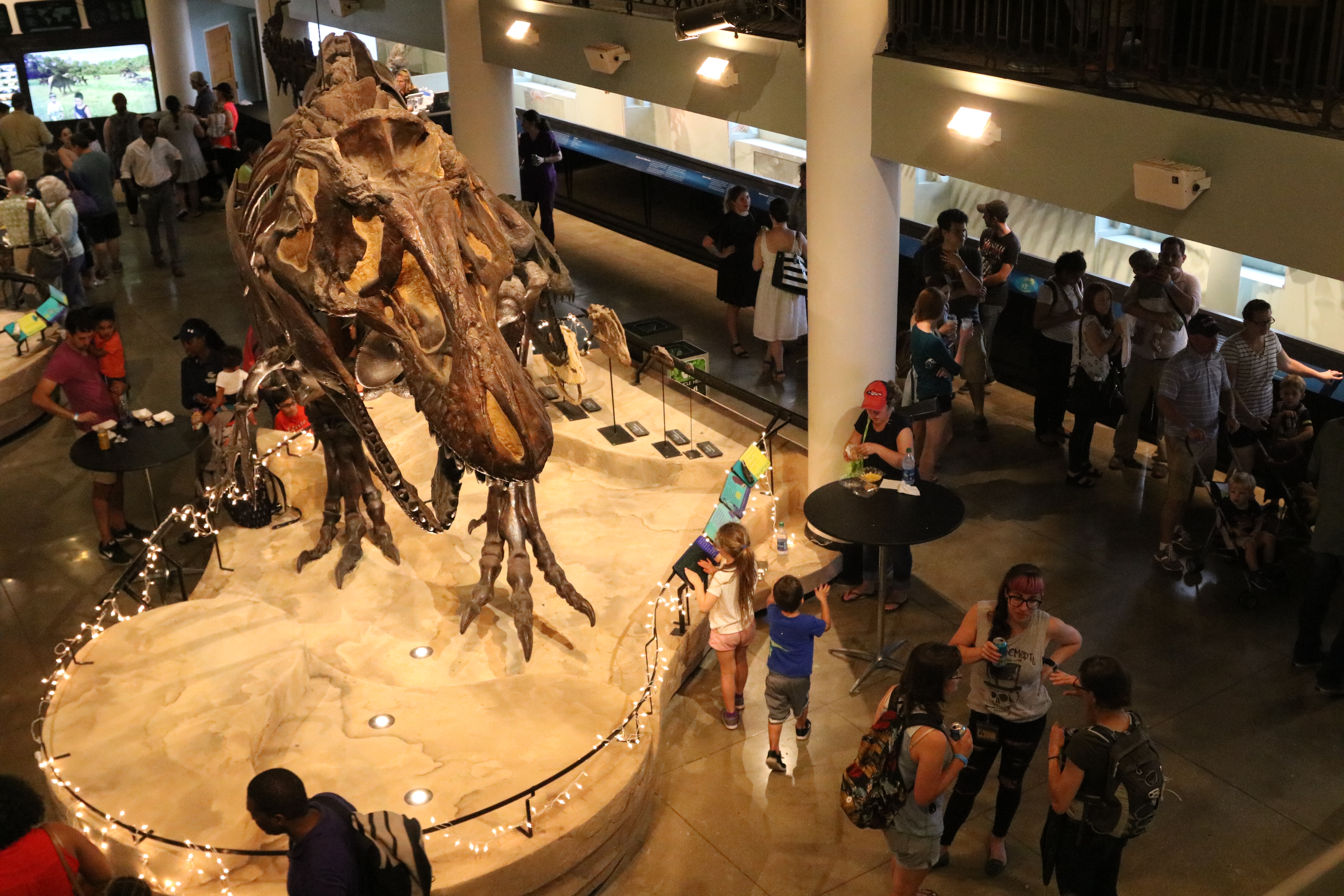 Dinosaur Hall at the Academy of Natural Sciences