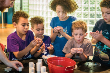 Five kids hold bugs at members night