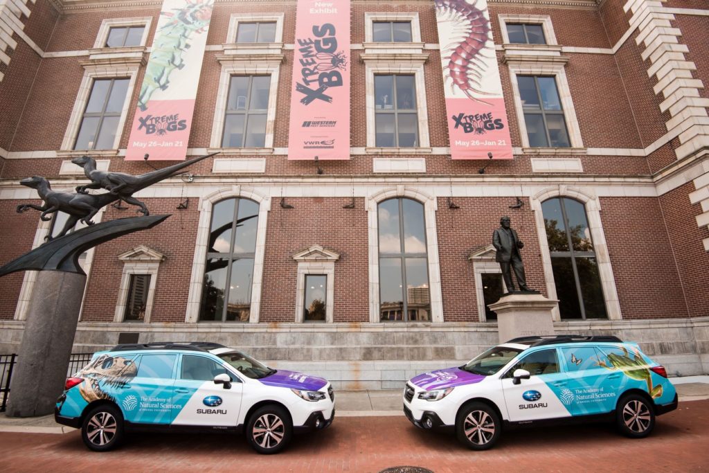 The Academy's new Subaru's parked infront of the Academy