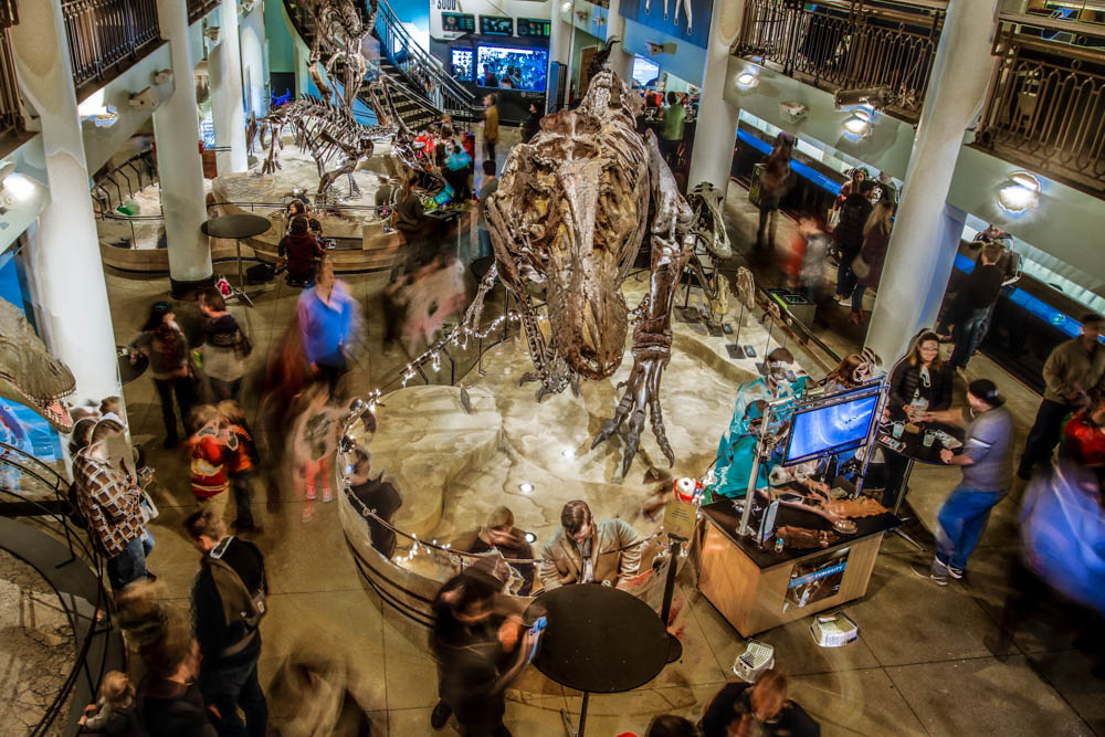 Blurry picture of dinosaur hall in the evening
