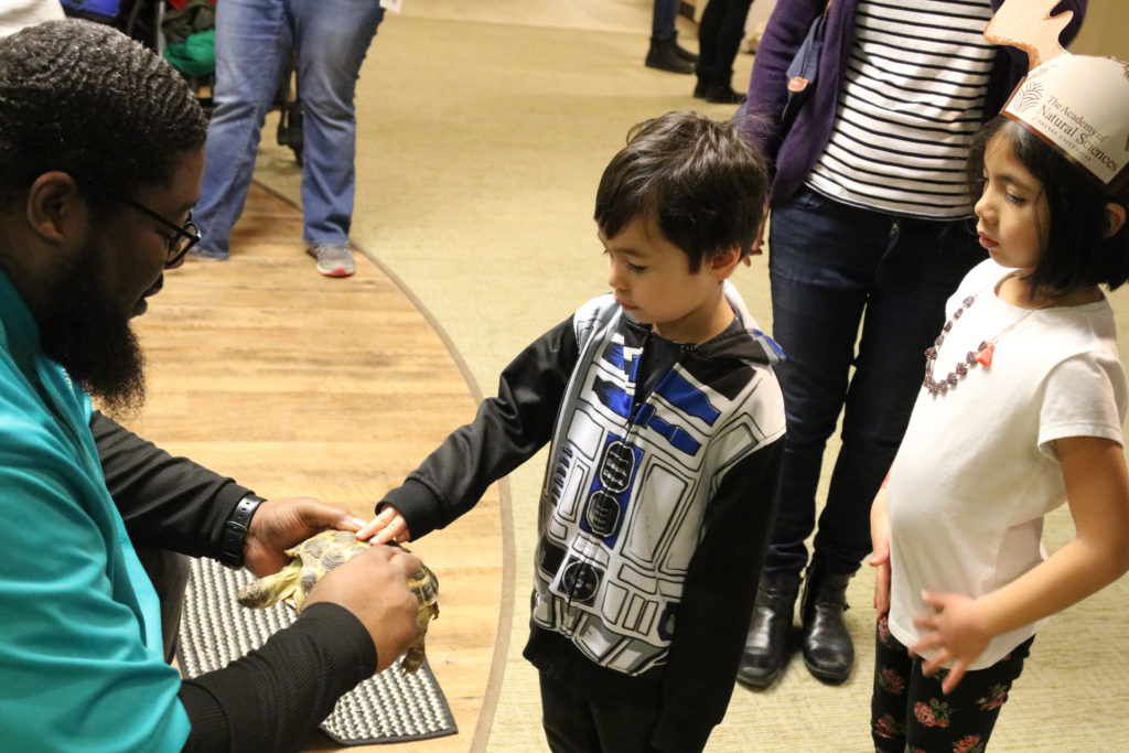 Two children around 6 or 7 touch a turtle held by Academy educator
