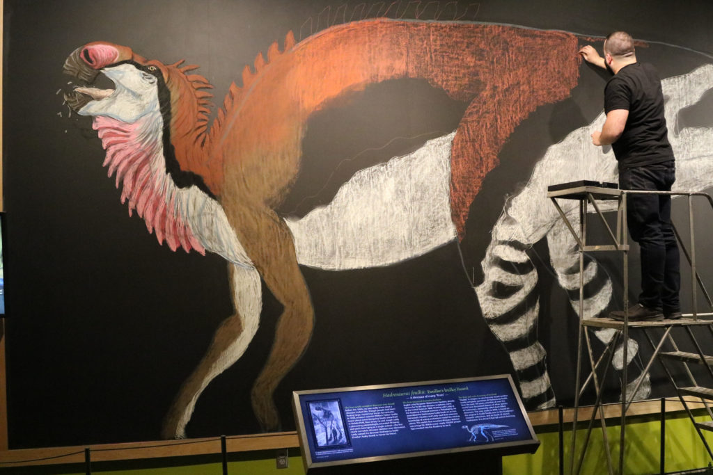 Christopher DiPiazza on ladder filling in outline of Hadrosaurus with orange chalk