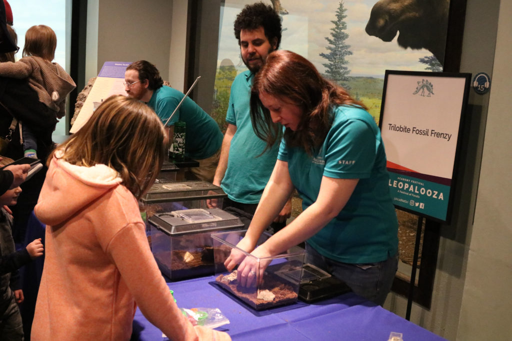 Two educators show 10 year old girl modern trilobite relatives in small plastic tank