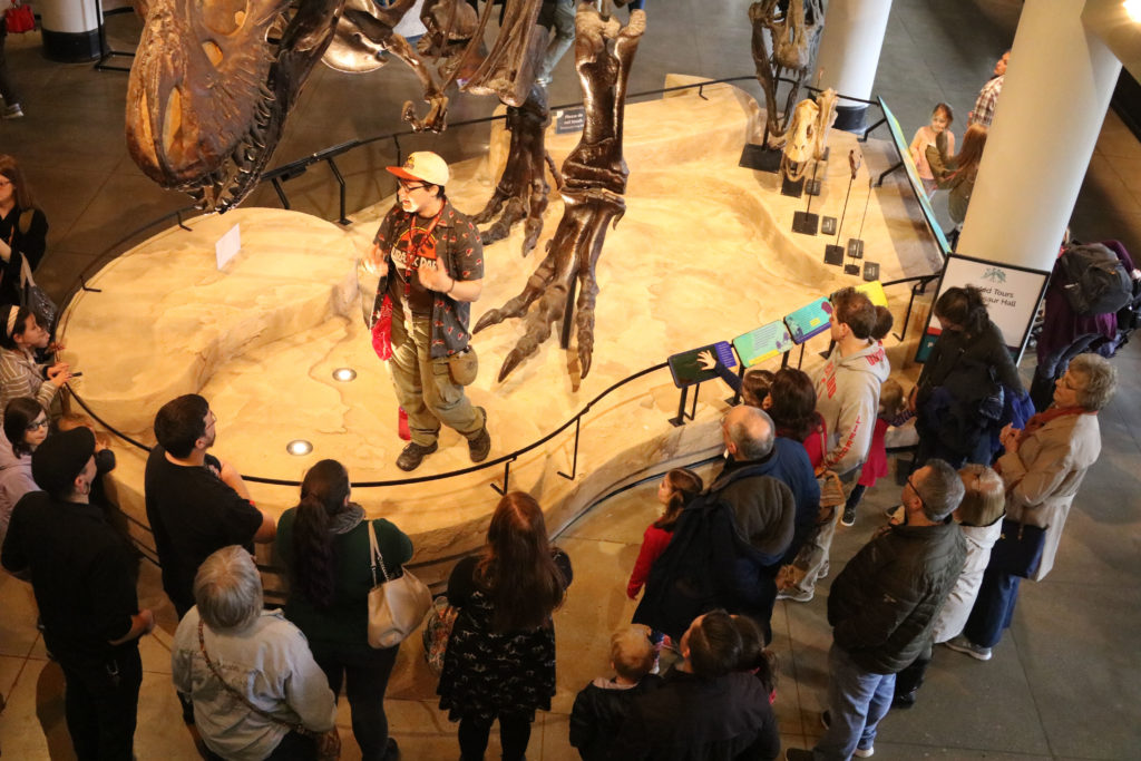 Educator stands under T. rex, group of adults surround her