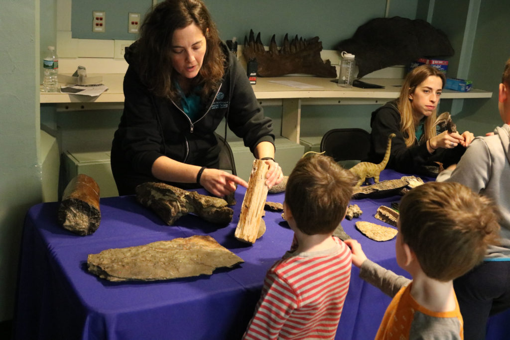 Educator shows two young boys a fossil or piece of petrified wood