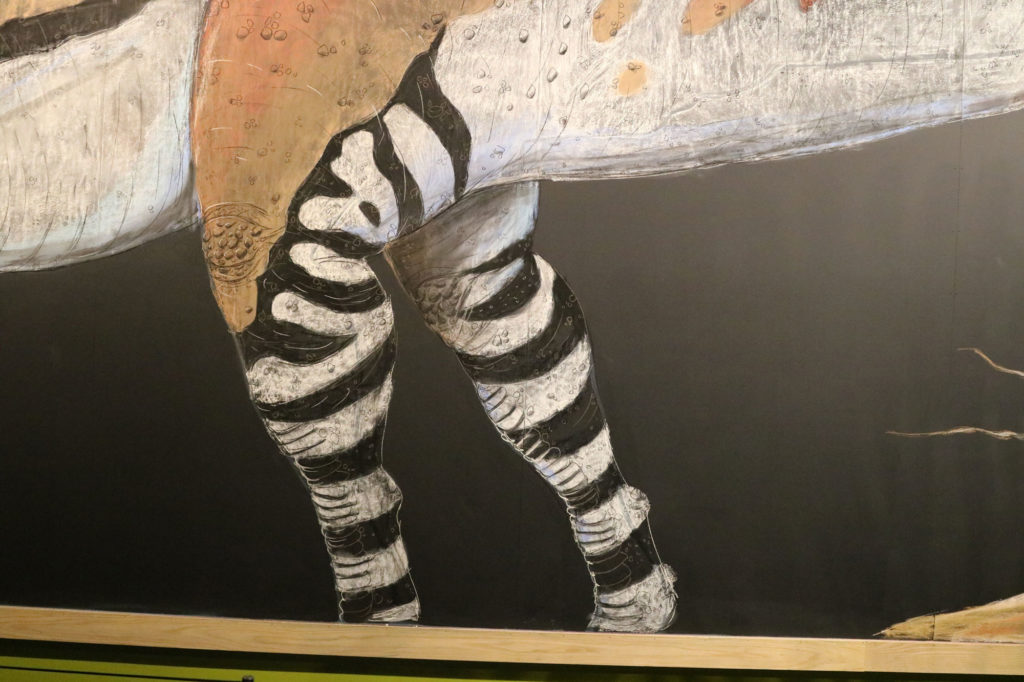 Hadrosaurus legs drawn in chalk