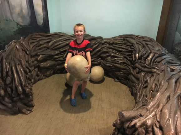 A visitor holds a fake Bald Eagle egg in Outside In!