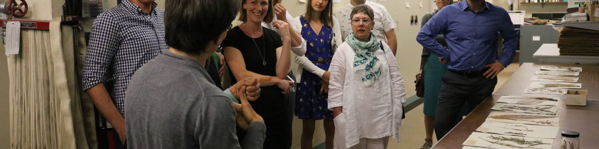 behind the scenes tour in botany, botanical specimens at right
