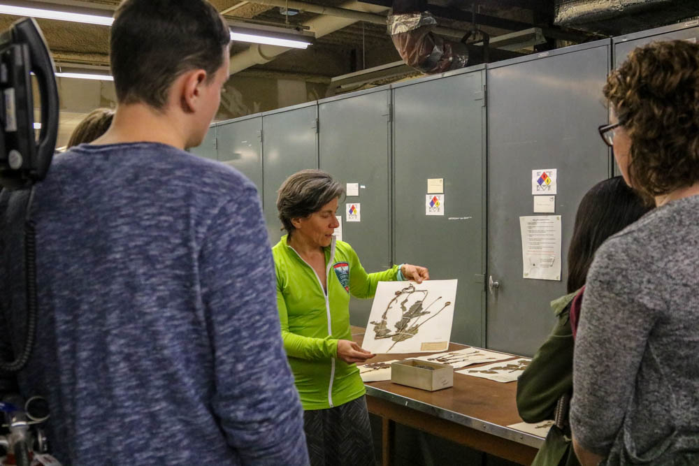 Woman in green jacket shows off herbarium specimen