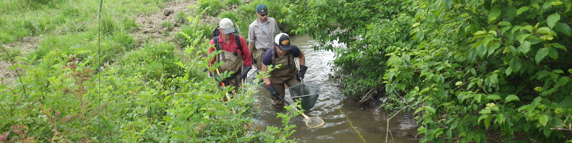 Fish Crew Manor MSMC8