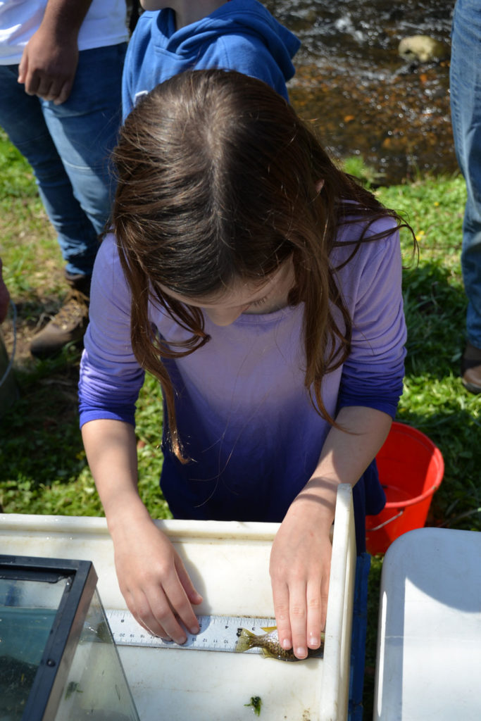 Girl in purple shirt measures small fish